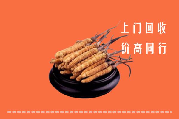 呼图壁县回收散虫草